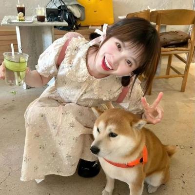 出走的决心
